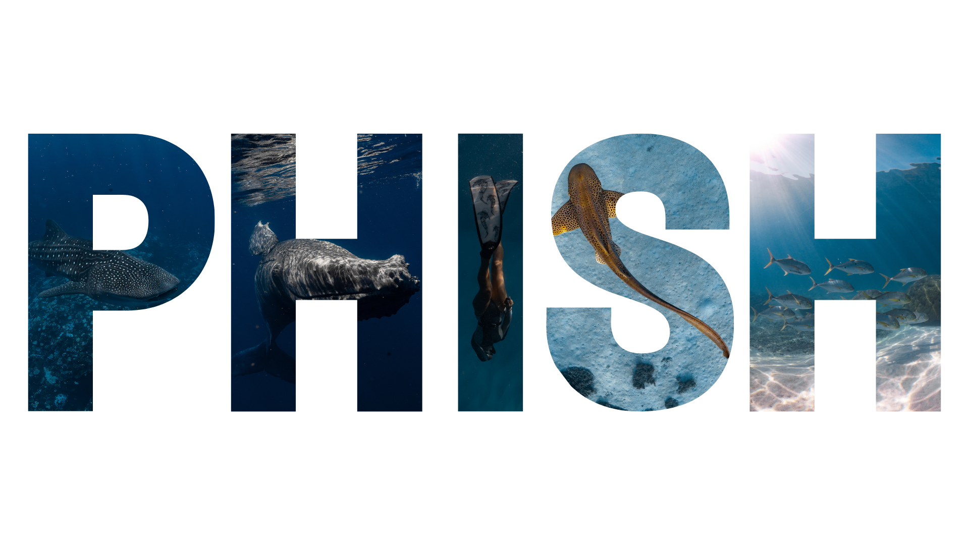 PHISH letters with animals