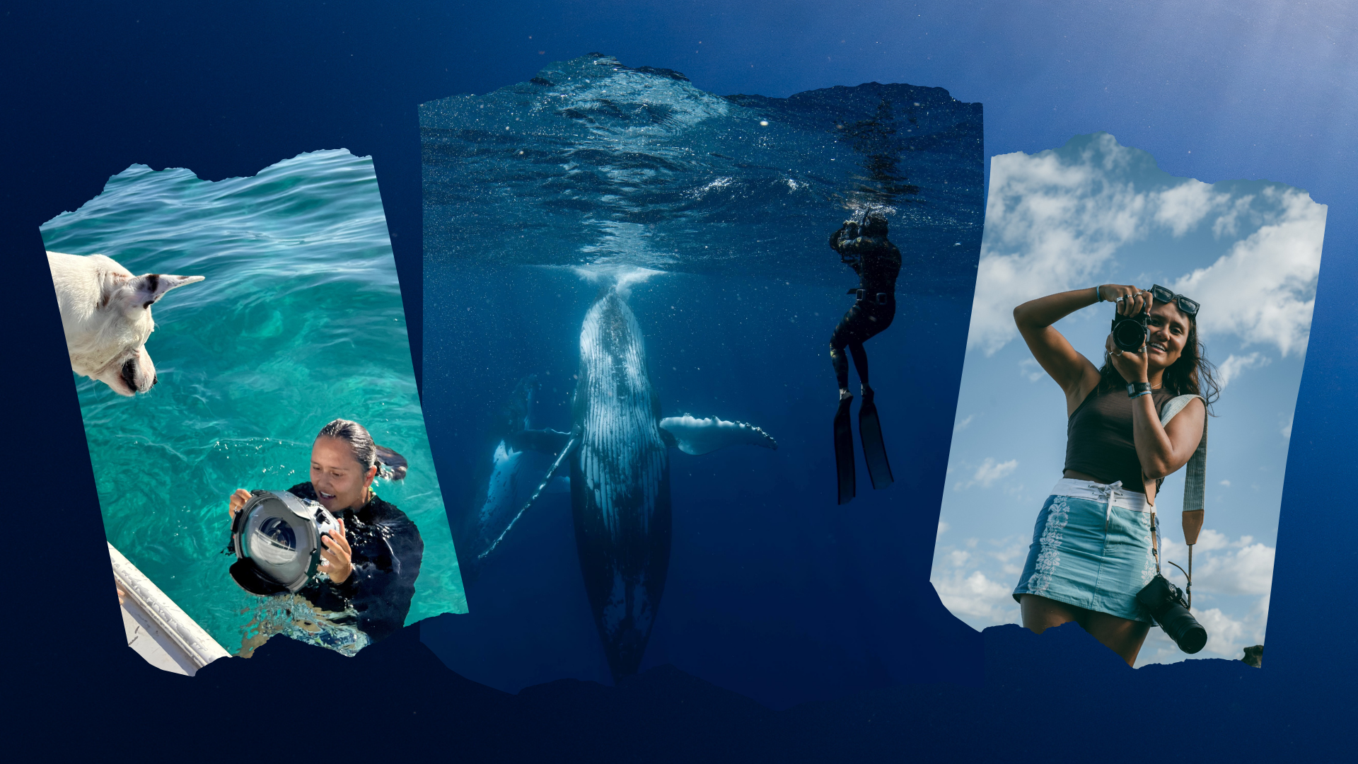 What I Actually Do background