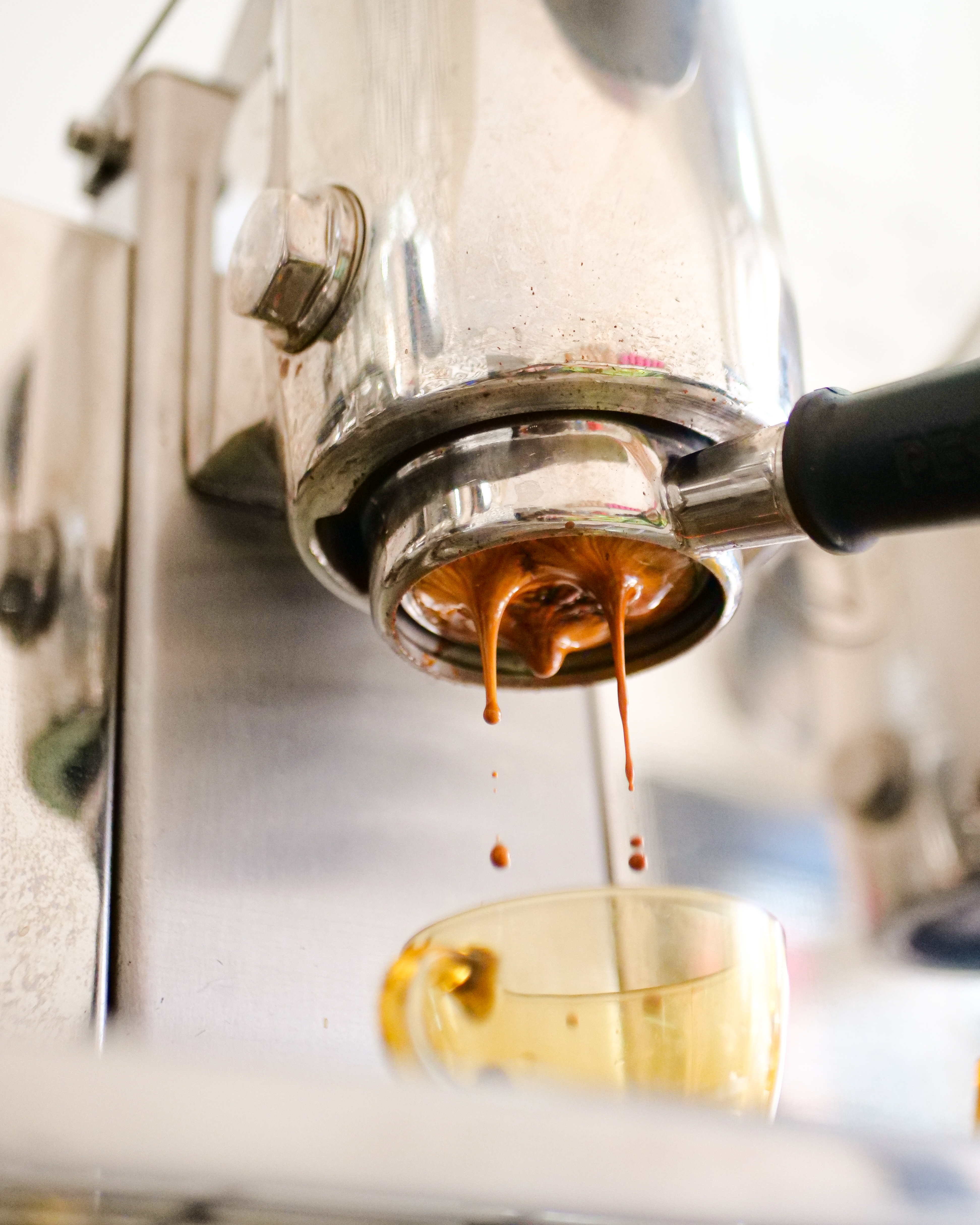 Restaurant content work before field guiding