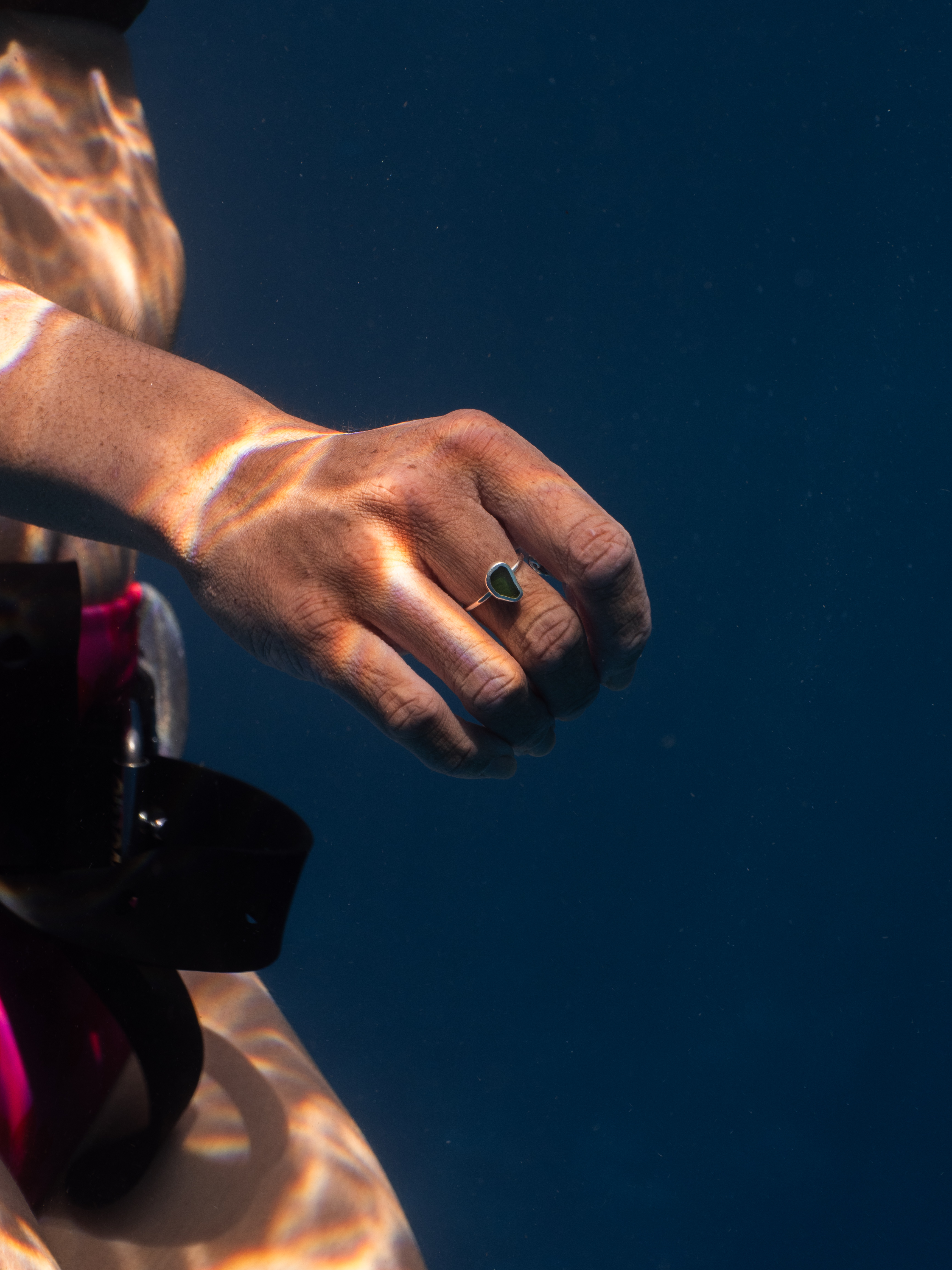 Bumble Tonga waterline portrait