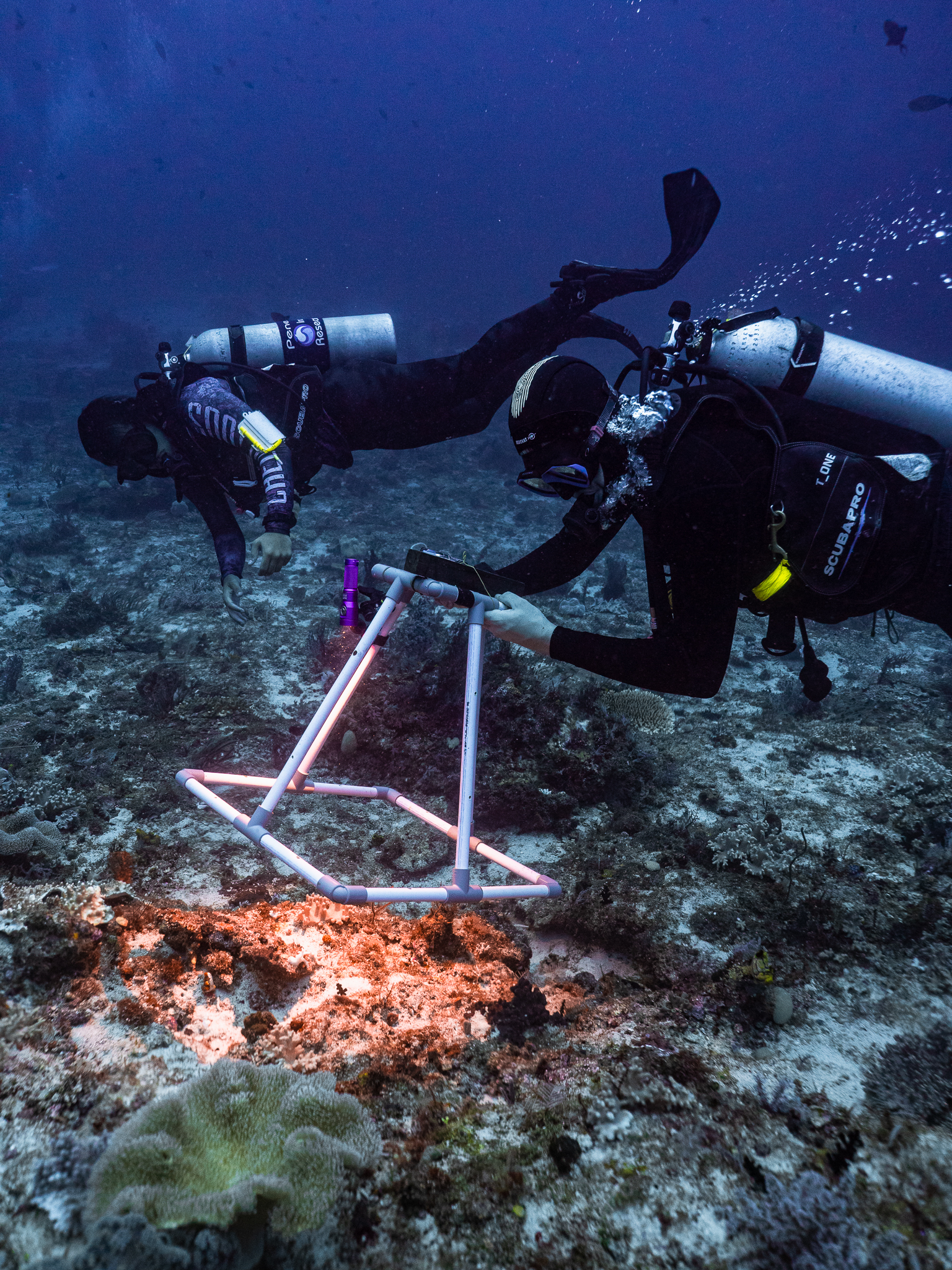 Crew in Raja Ampat 001