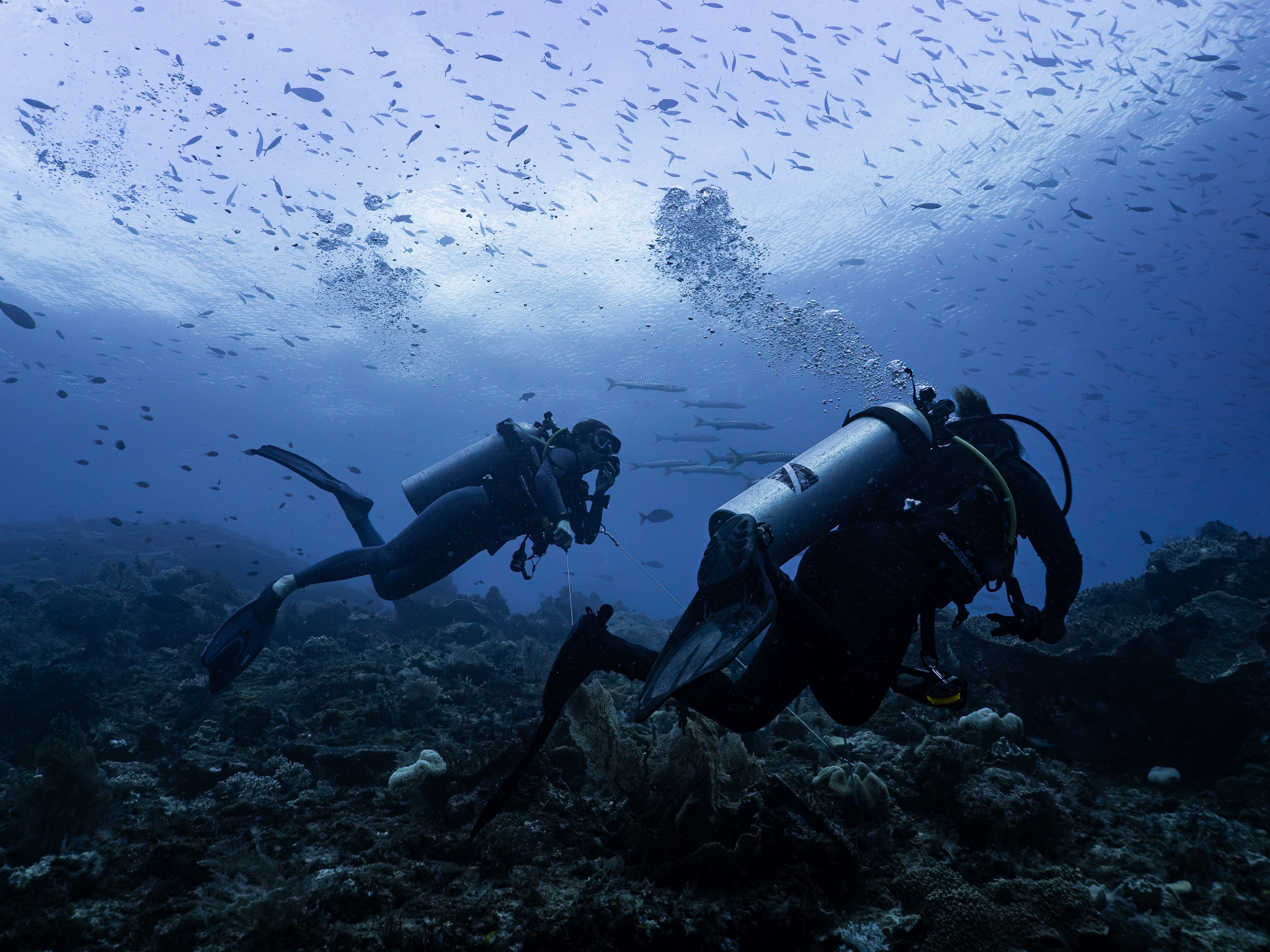 Crew in Raja Ampat 004