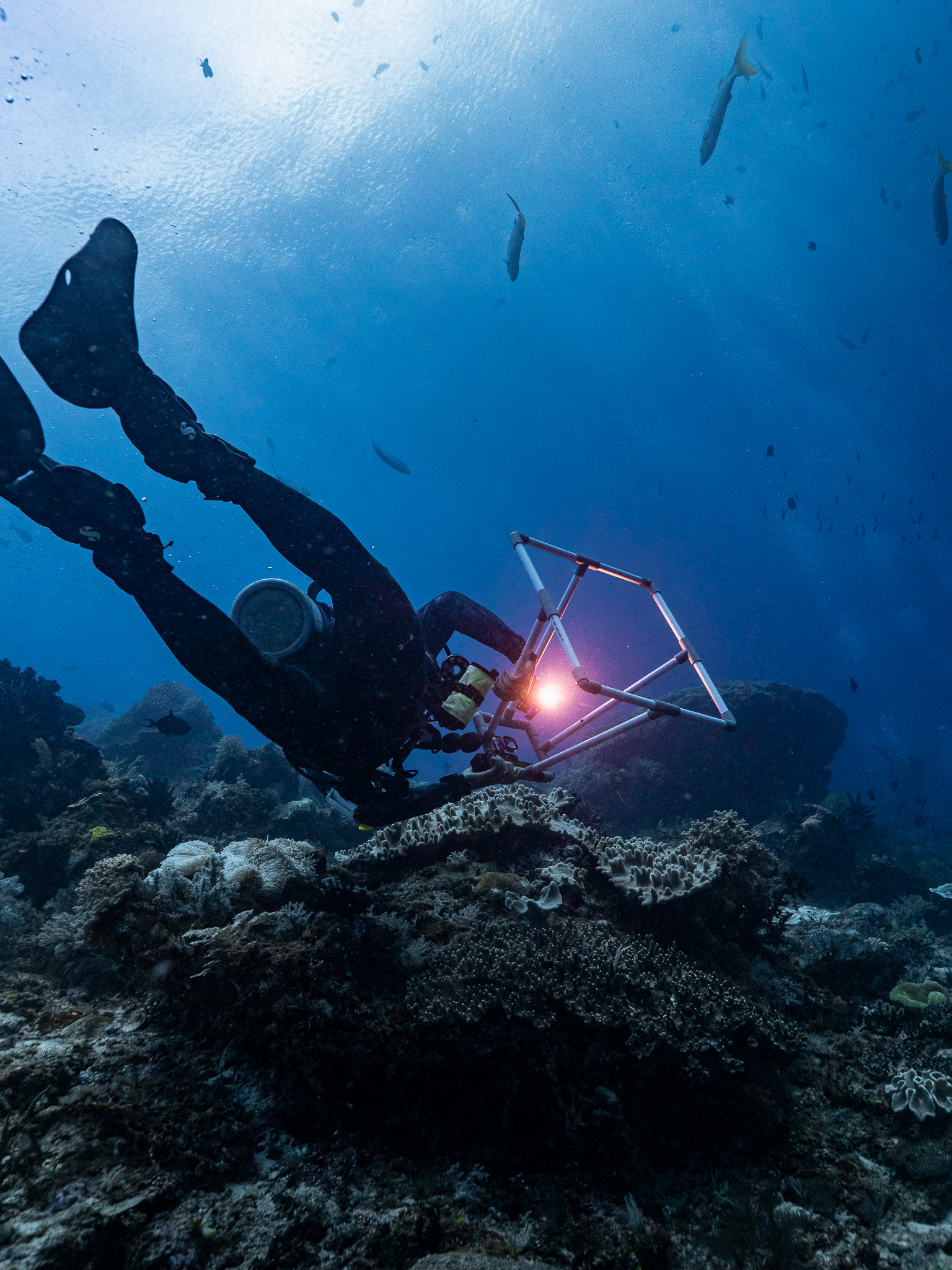 Crew in Raja Ampat 006