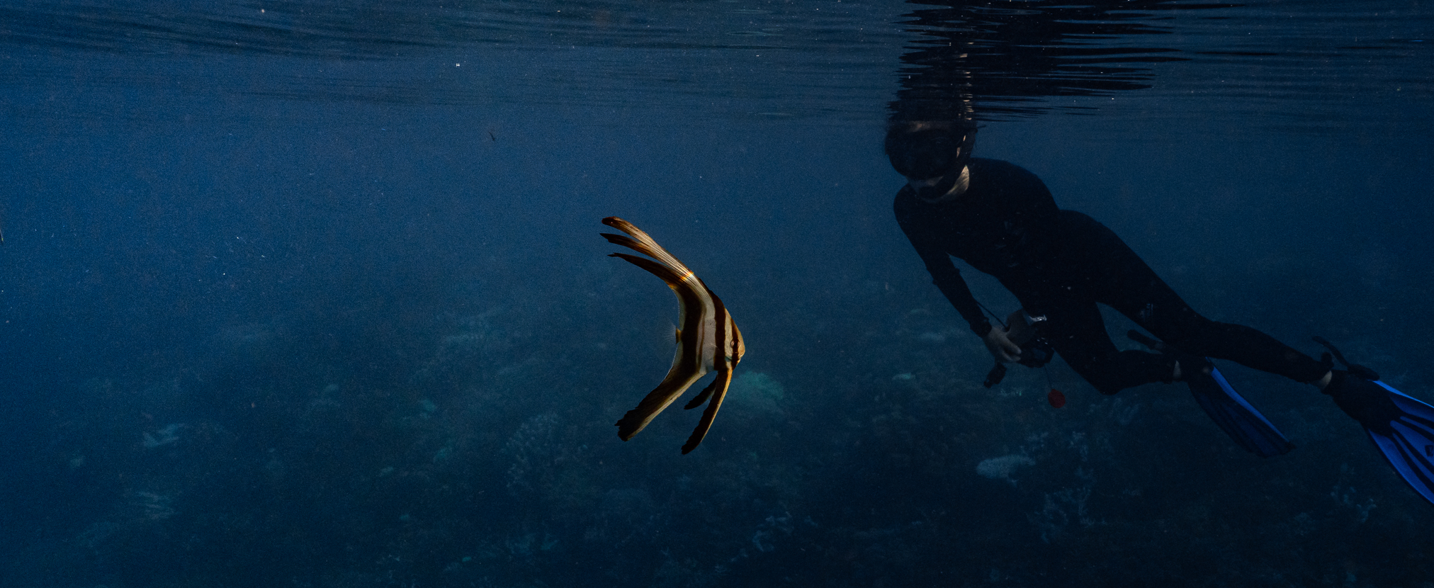 Field closing background