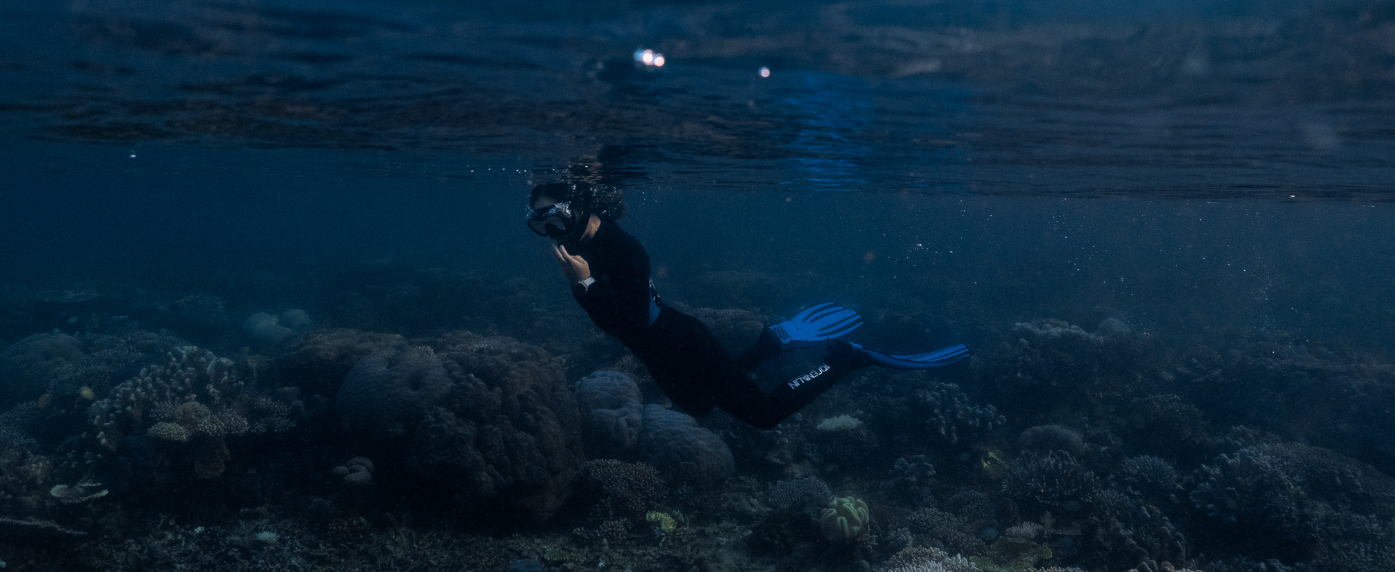 Guide leading experience in marine environment