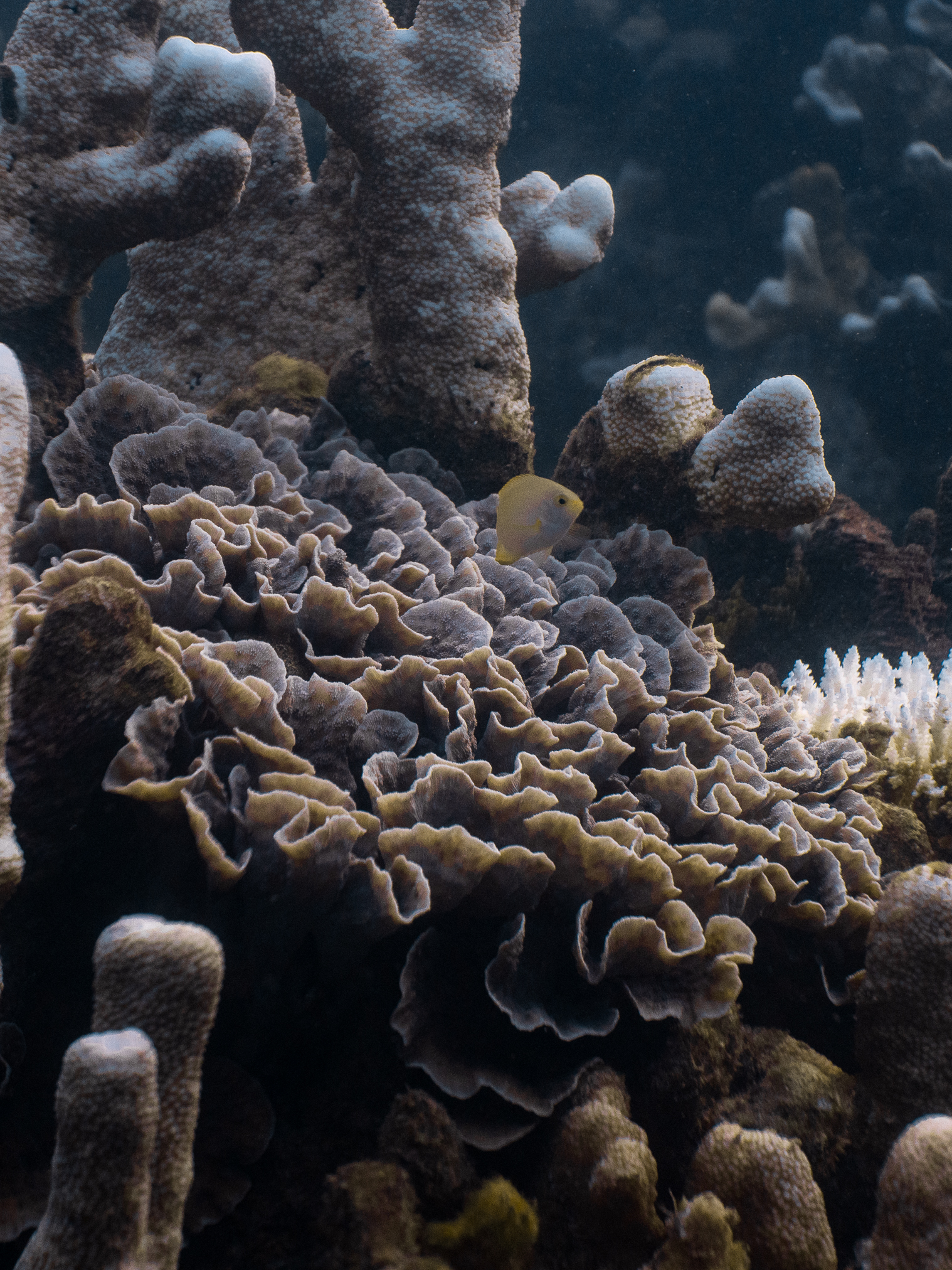 Close detail of gear or hands in environment