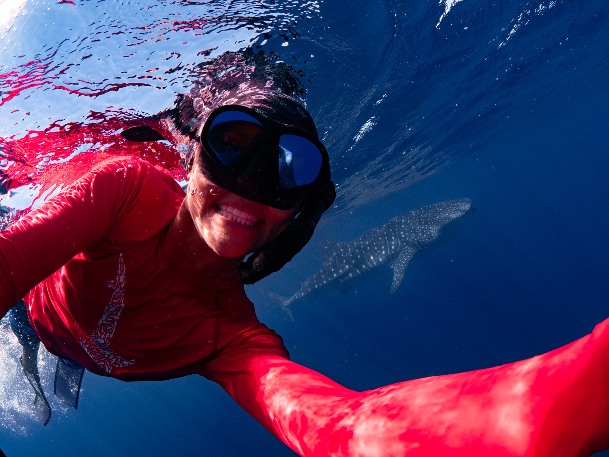 Me whaleshark ningaloo